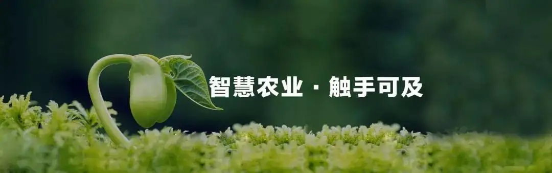 智慧農業 智慧農業